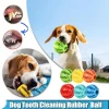 Dog Ball Interactive Elasticity Puppy Chew Toy