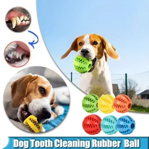 Dog Ball Interactive Elasticity Puppy Chew Toy