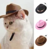 Pet Cat Western Cowboy Hat Halloween