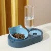 Dual Purpose Pet Bowl Automatic Cat Water Feeder 2 In 1 Special Bowl for Cats