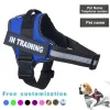 Dog Harness ID Custom patch Reflective Breathable No Pull Pet Harness Vest