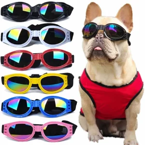 6 Colors Fold Pet Dogs Glasses Prevent UV Pet Glasses for Cats Dogs
